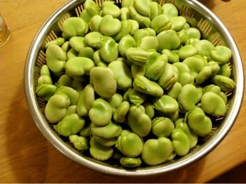 そら豆の冷凍保存~食感が変わらない方法~